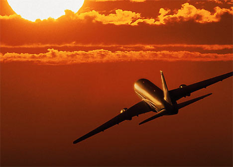 fly away in the setting sky fly away in the setting sky
