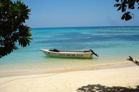 joe's water taxis transport Or, if you’re going to Fiji, why not take Joes Water taxi to transport you around!