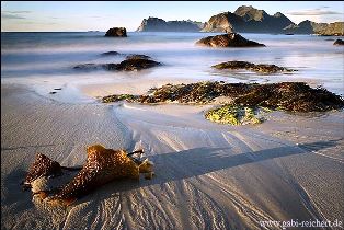 lofoten lofoten
