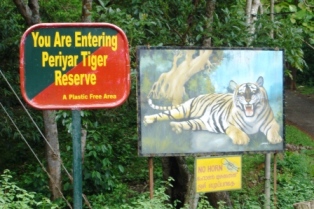 We did hike in this tiger reserve but didn’t see any tigers, ”only” claw marks on the trees where they had sharpened their weapons! We did hike in this tiger reserve but didn’t see any tigers, ”only” claw marks on the trees where they had sharpened their weapons!