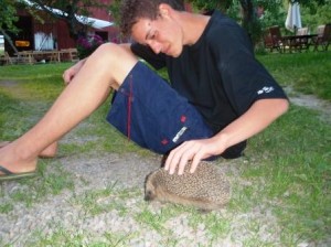 Our new friend Tilo, visiting from Brazil, meeting our friendly Hedgehog