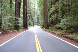 When you travel long term, you never can tell where the road will take you. Who will you be when you get back home, (if you choose to go back :-))?