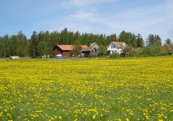 The palce for Asko2010
