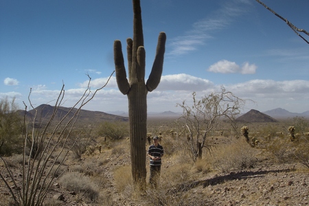 Cactus Tiny Aron with huge cactus in southern Arizona